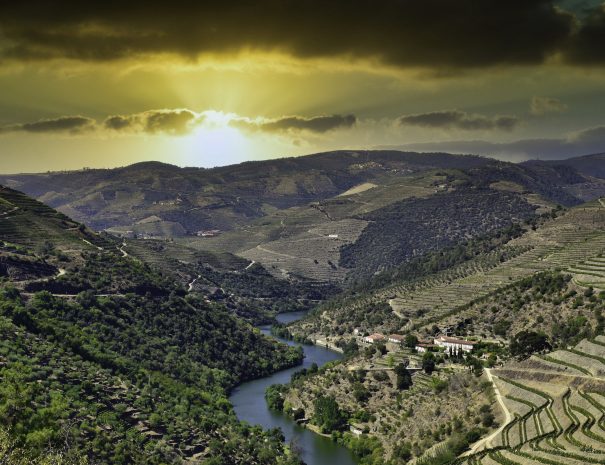 Airport Transfers and Private Tours - Douro Sunset
