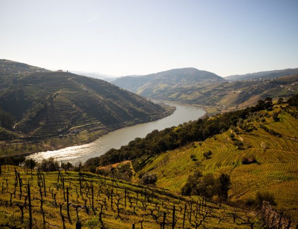 Airport Transfers and Private Tours Inbictvs - Douro Valley
