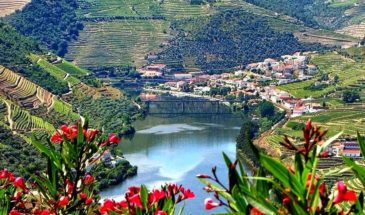 Douro Essence Experience Tour – Douro Valley Private Day Tour with All-Inclusive Experience. Lunch, Boat Ride, Private Winery Trip with Wine Tasting and Traditional Biscuits.