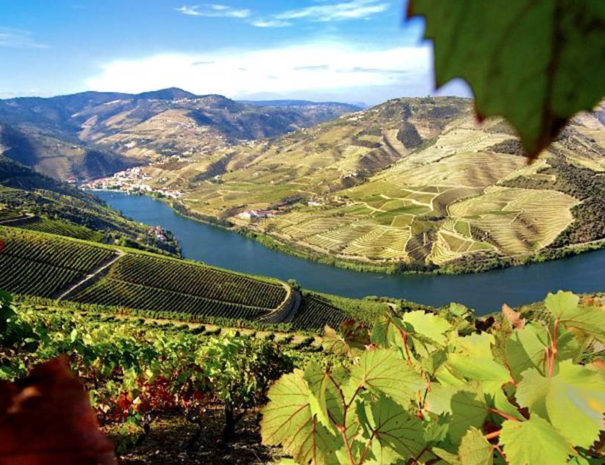 Airport Transfers and Private Tours Inbictvs Transfers & Tours - inspiring Portuguese Douro Valley